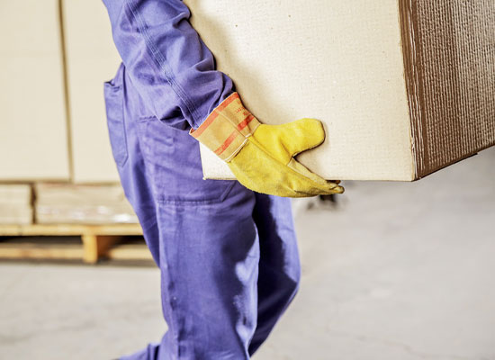 cursus fysieke belasting